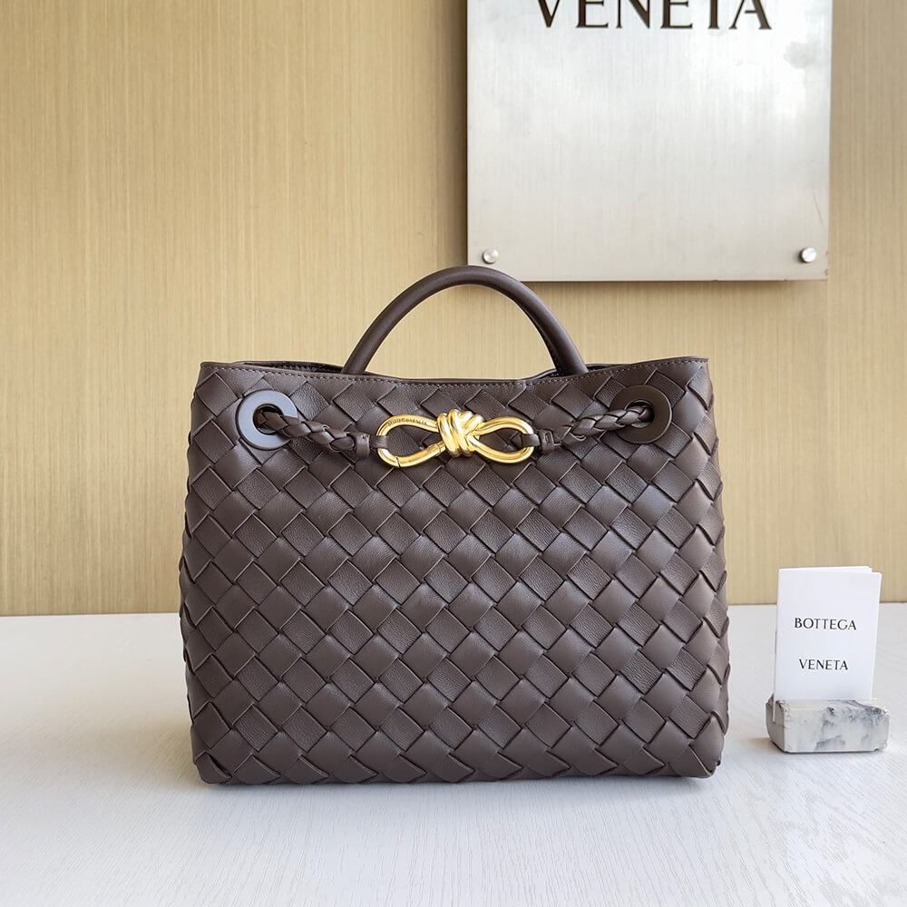 Bottega Veneta Small Andiamo(Tax-Free grade)