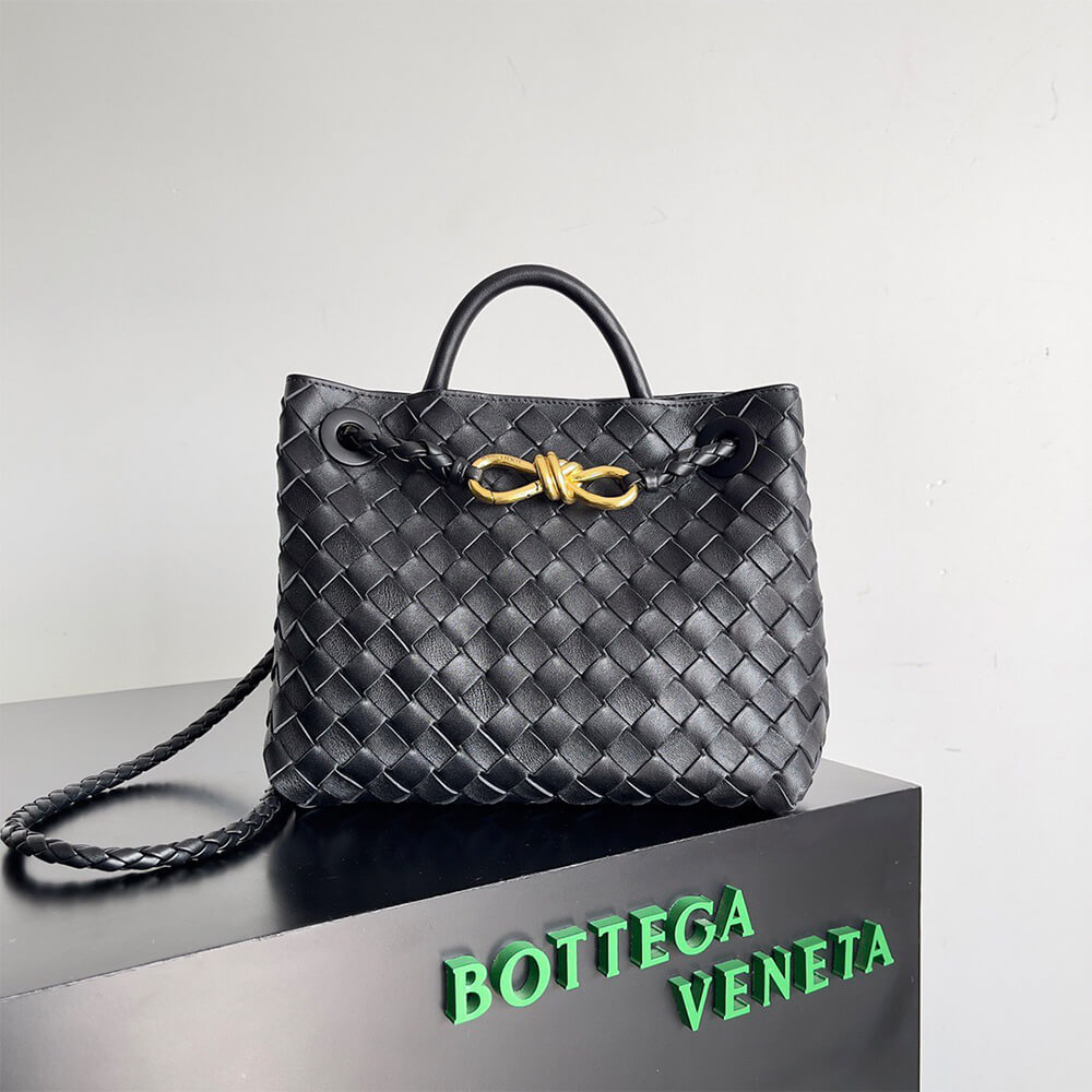Bottega Veneta Small Andiamo