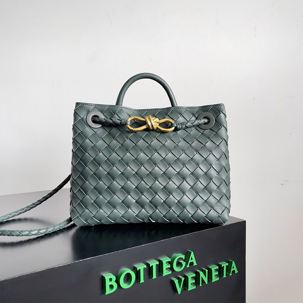 Bottega Veneta Small Andiamo