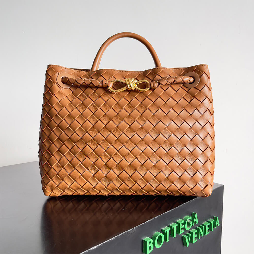 Bottega Veneta Medium Andiamo