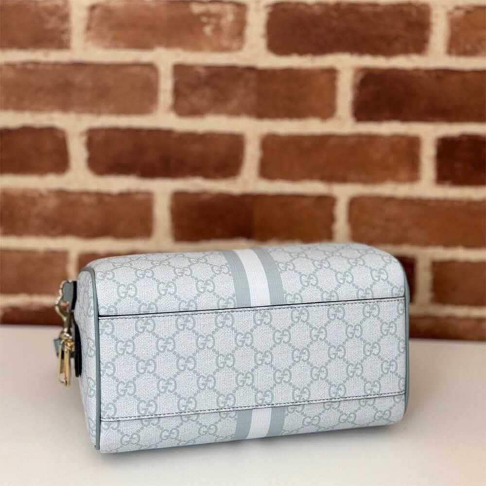 G*u*i ophidia small top handle bag